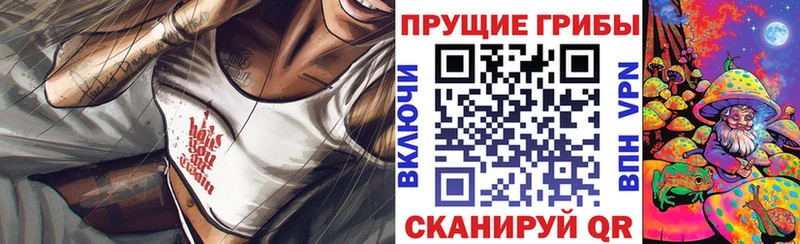 kraken сайт Мамоново Псилоцибиновые грибы прущие грибы даркнет сайт